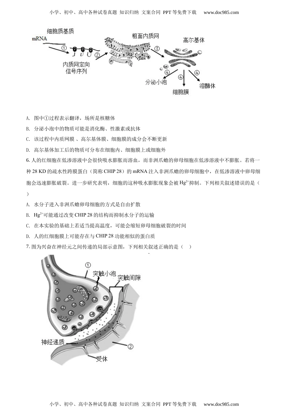 新教材人教版生物精品解析：辽宁省2020-2021学年高二上学期选科新题型测生物试题（原卷版）.docx