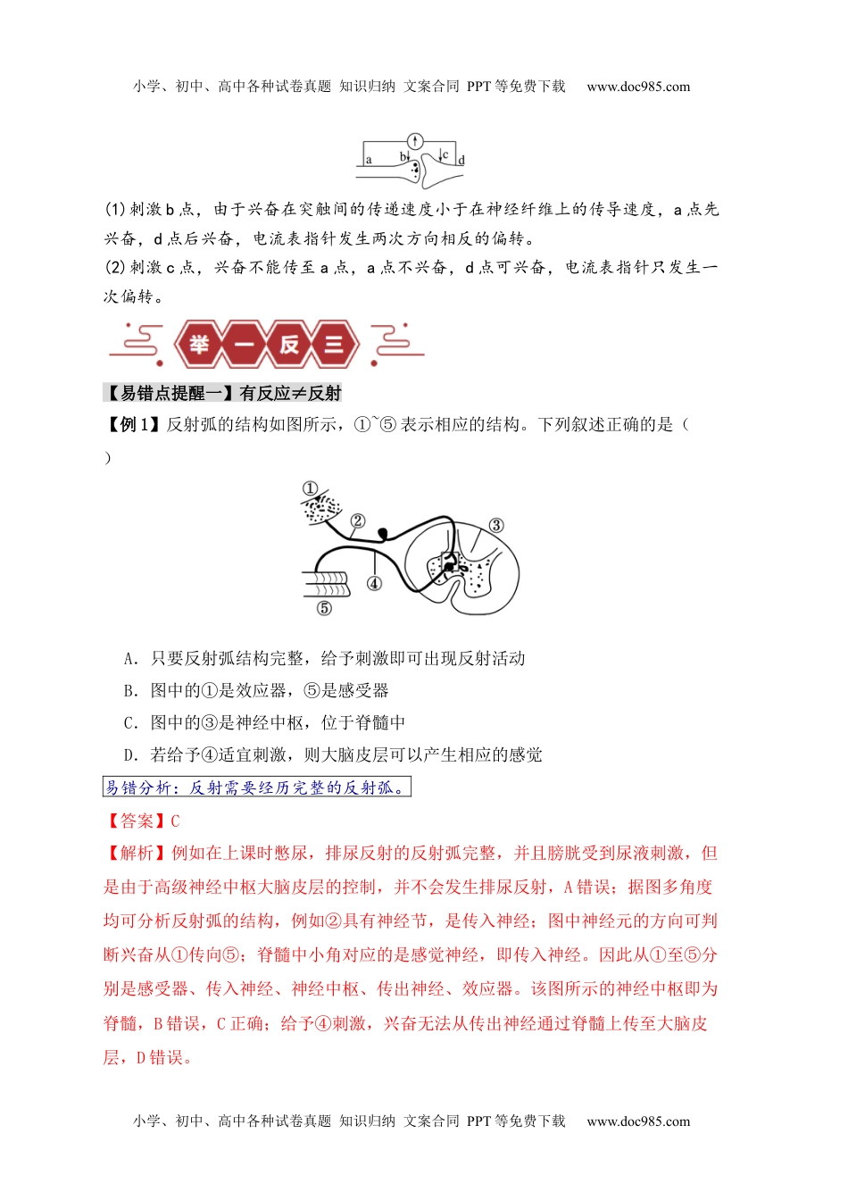 高考生物易错点11 神经调节的“四个”注意（解析版）.docx