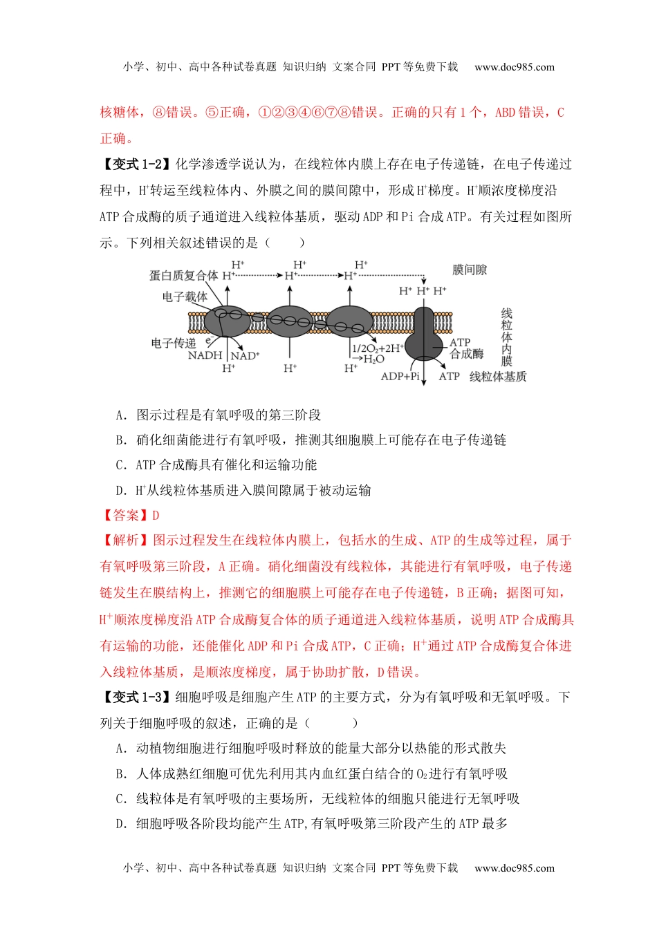 高考生物易错点01 真核生物和原核生物的辨析（4大陷阱）（解析版）.docx