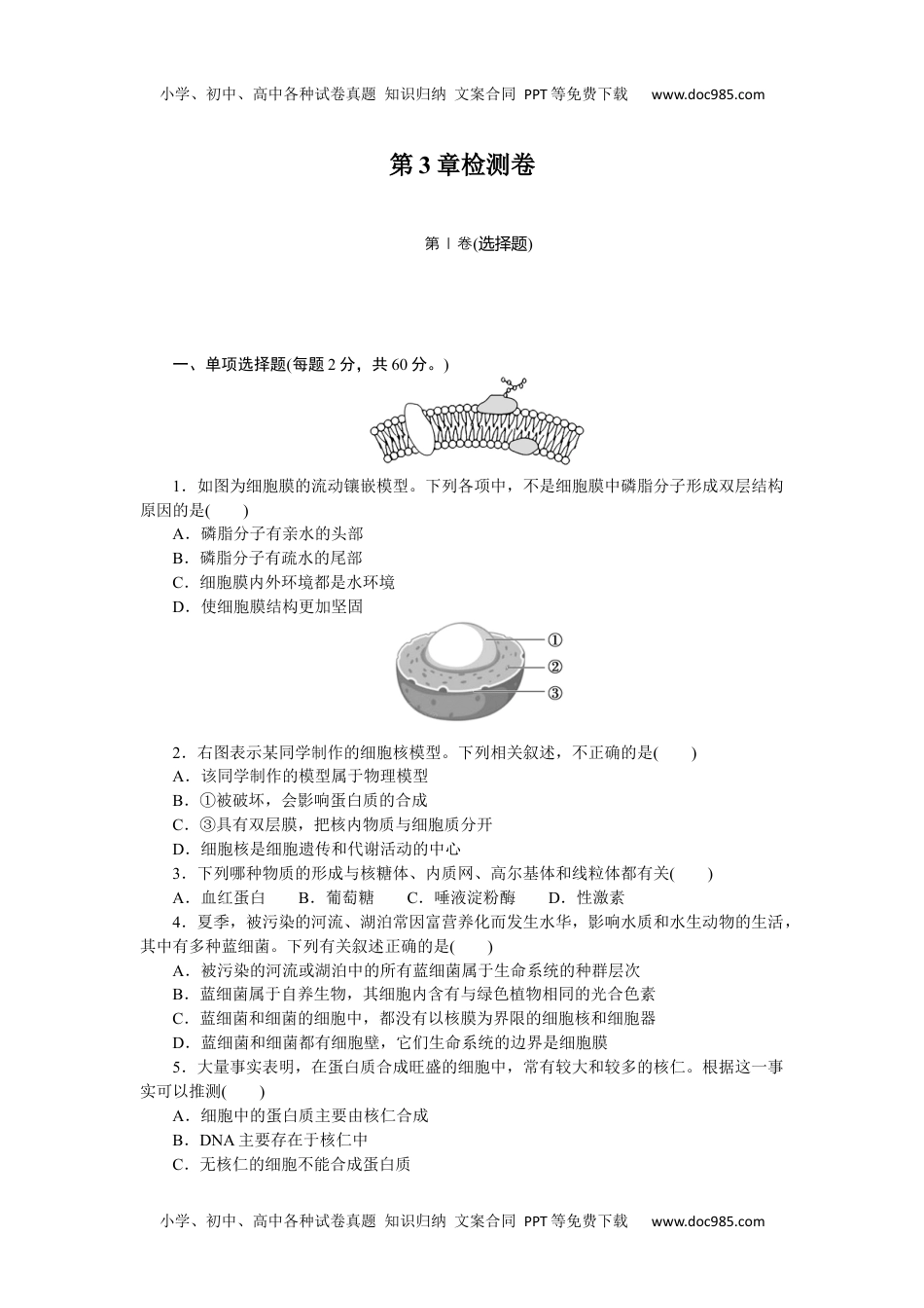 2023生物学·必修1第3章检测卷.docx