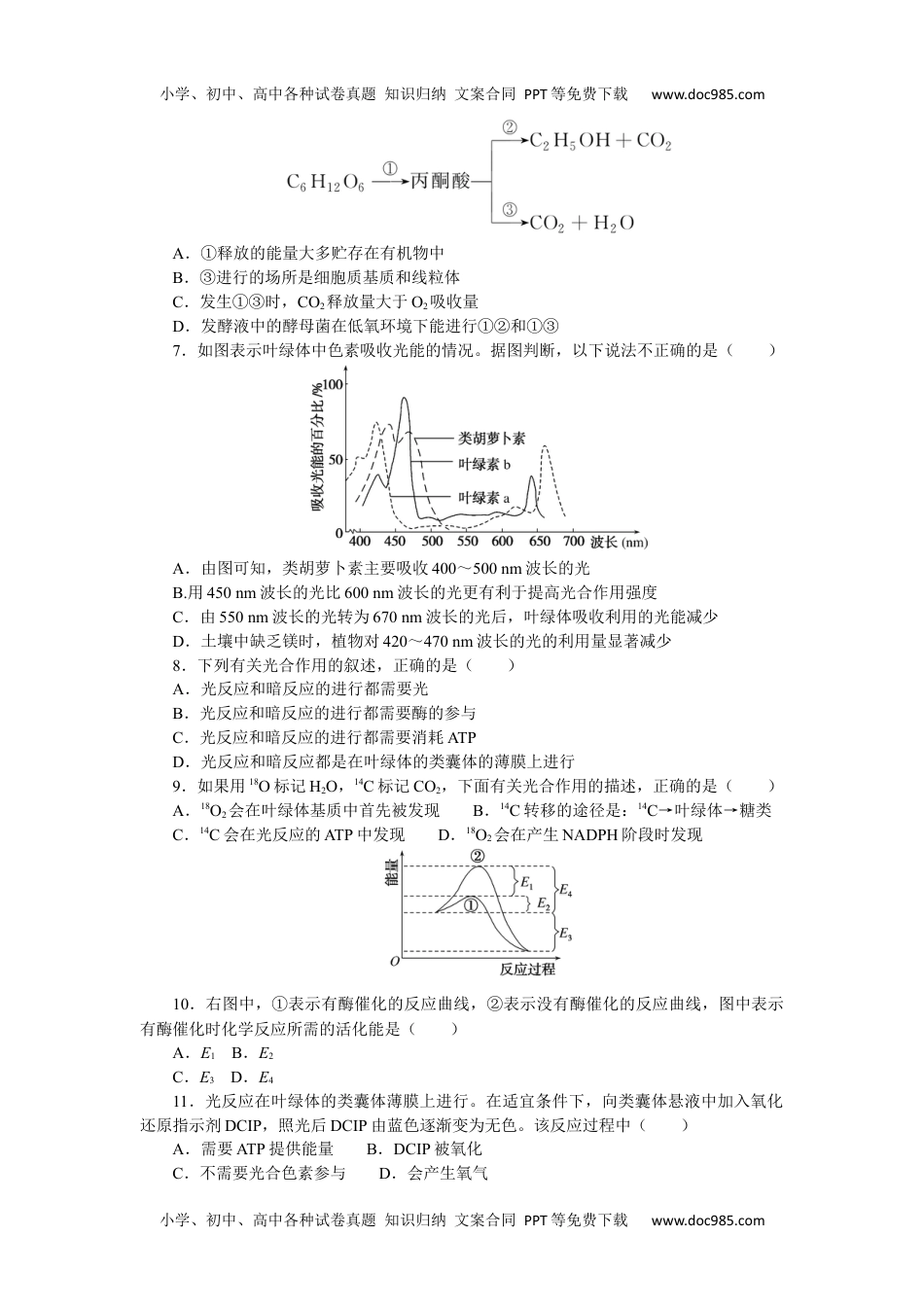 2023生物学·必修1第5章检测卷.docx