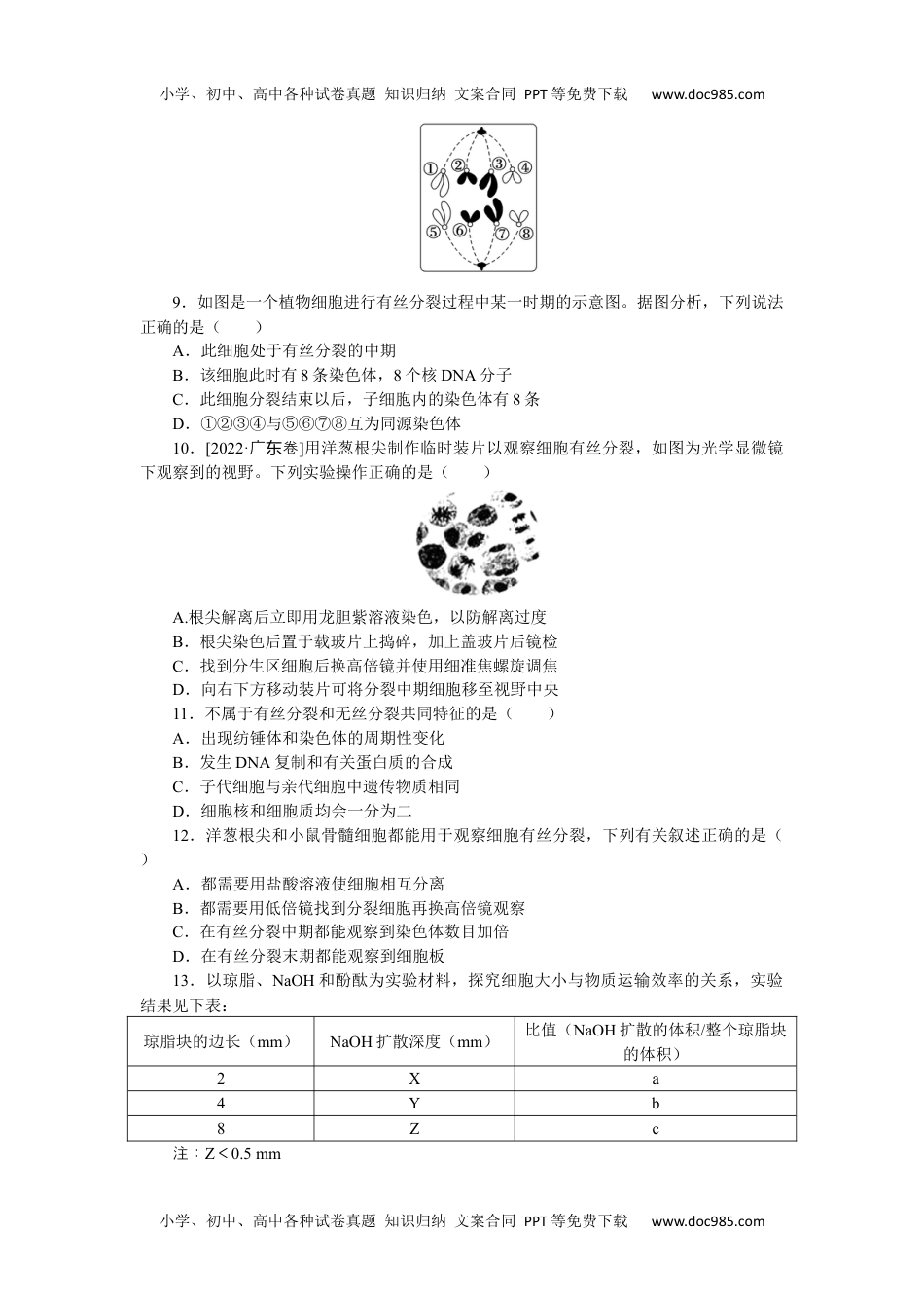 2023生物学·必修1第6章检测卷.docx