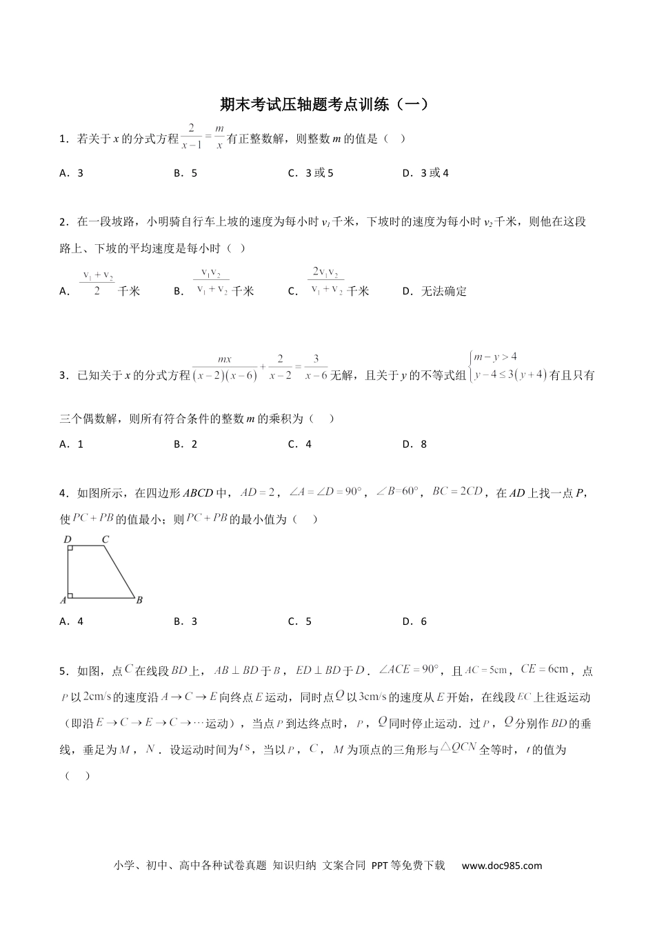 人教八年级数学上册 期末考试压轴题考点训练（一）（原卷版）.docx