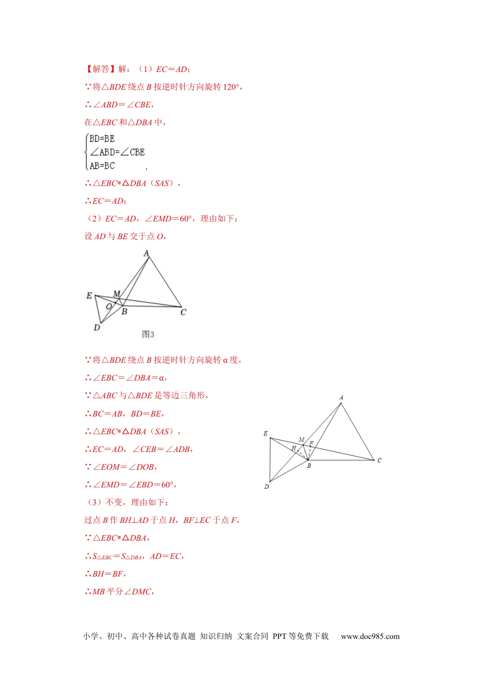 人教八年级数学上册 专项06 手拉手综合应用（解析版）.docx