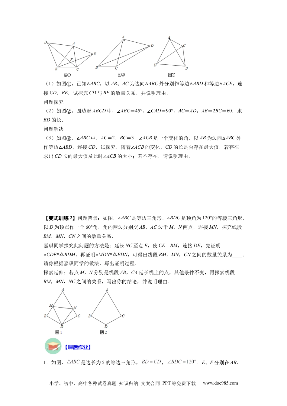 人教八年级数学上册 专题02 手拉手模型（原卷版）.docx