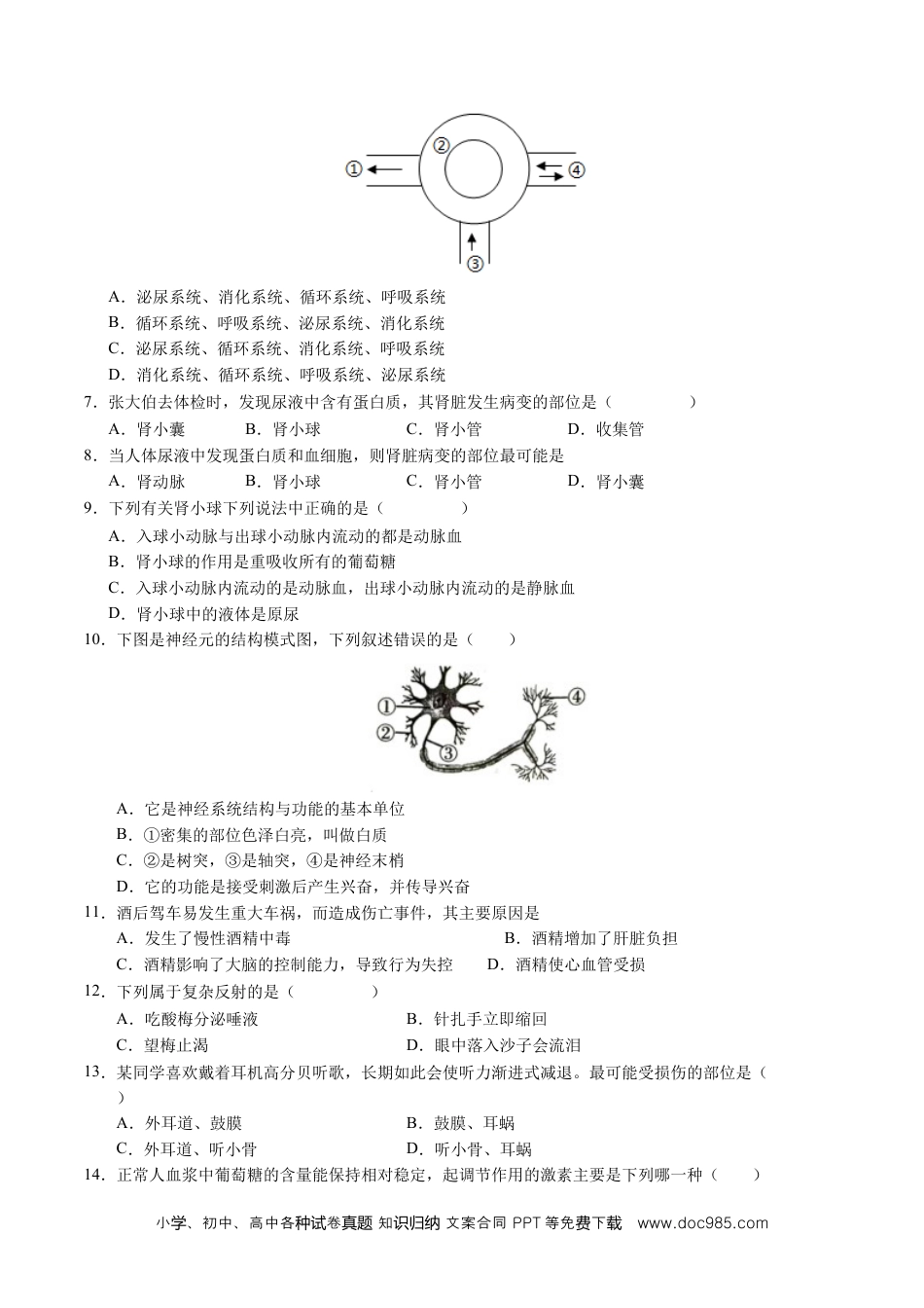 八年级生物期末模拟卷（考试版）（苏科版）.docx