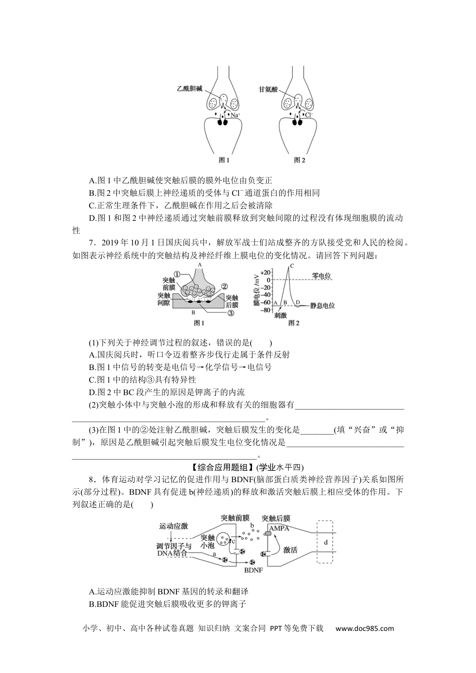 高中 生物·选择性必修1课时作业（word）课后分层检测案5.docx