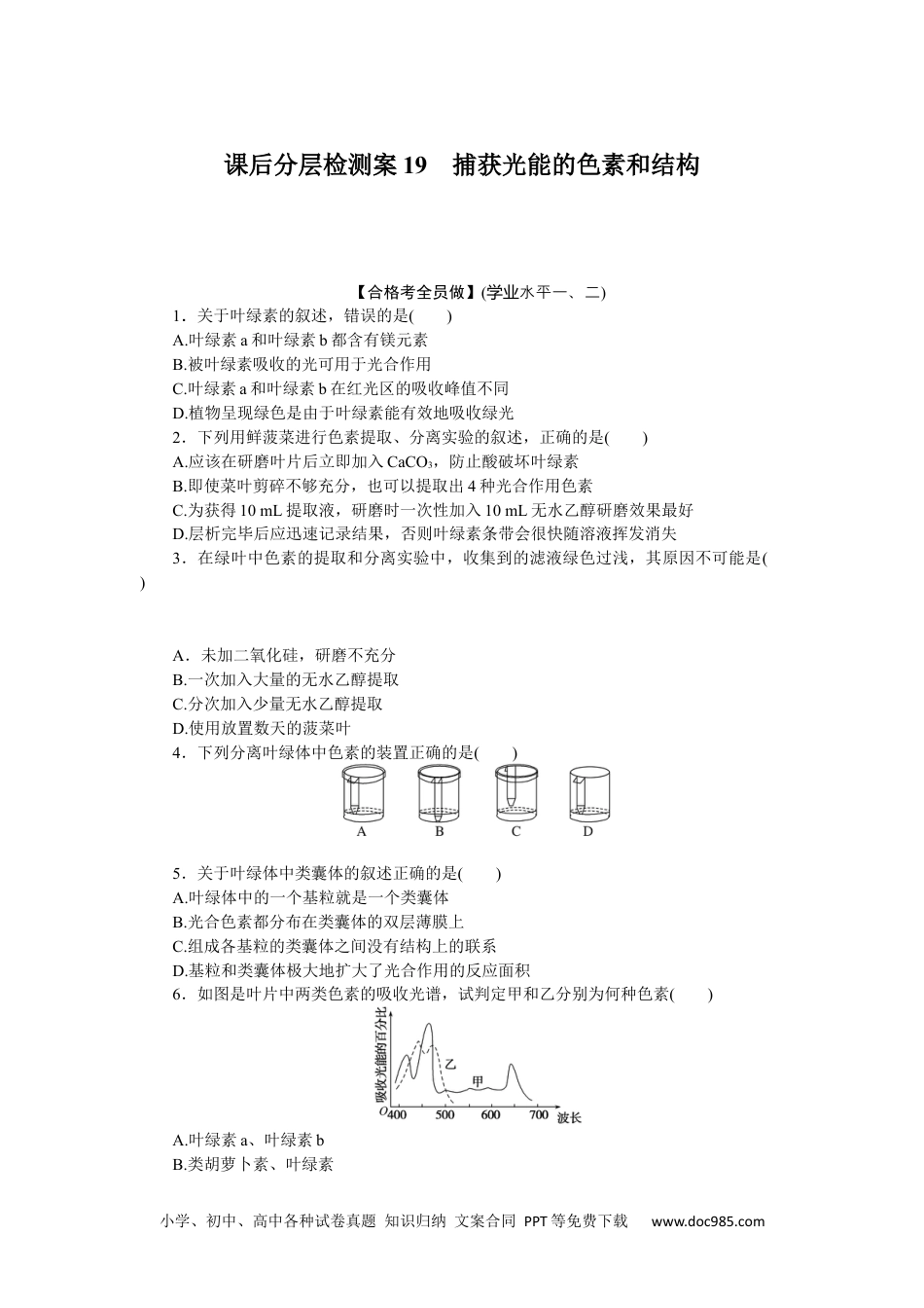 高中 生物·必修1课后分层检测（单选）课后分层检测案19.docx