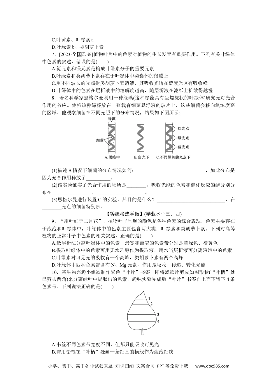 高中 生物·必修1课后分层检测（单选）课后分层检测案19.docx