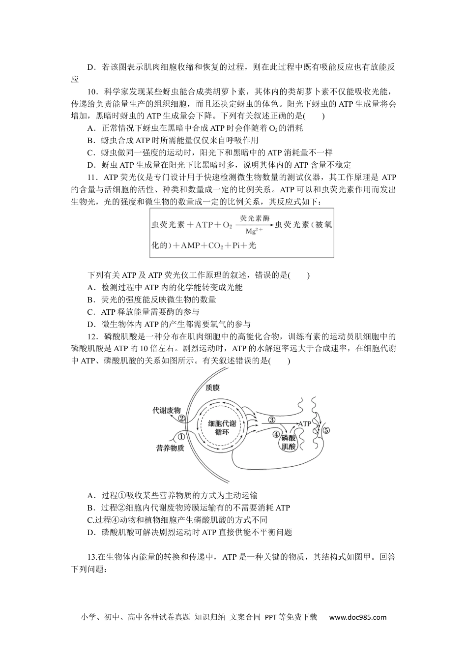 高中 生物·必修1课后分层检测（单选）课后分层检测案16.docx