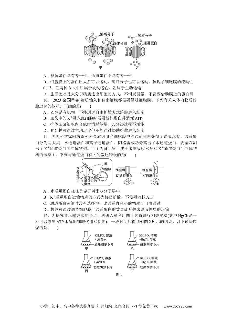 高中 生物·必修1课后分层检测（单选）课后分层检测案13.docx