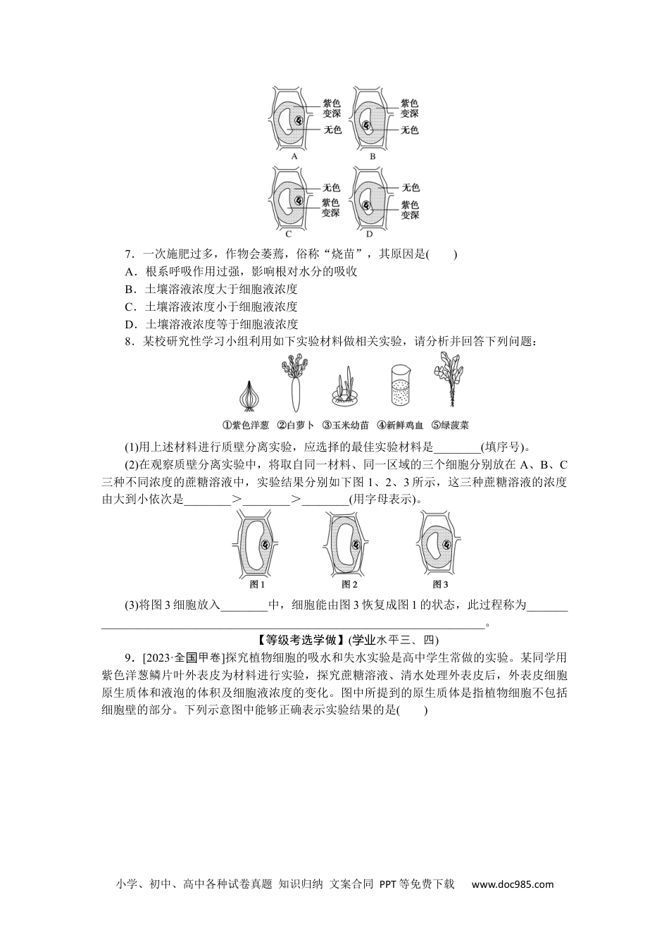 高中 生物·必修1课后分层检测（单选）课后分层检测案12.docx