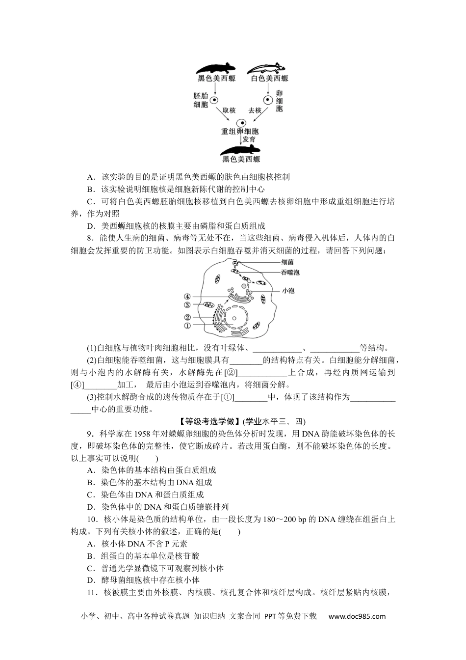 高中 生物·必修1课后分层检测（单选）课后分层检测案11.docx