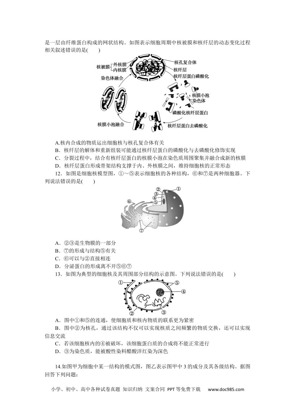 高中 生物·必修1课后分层检测（单选）课后分层检测案11.docx