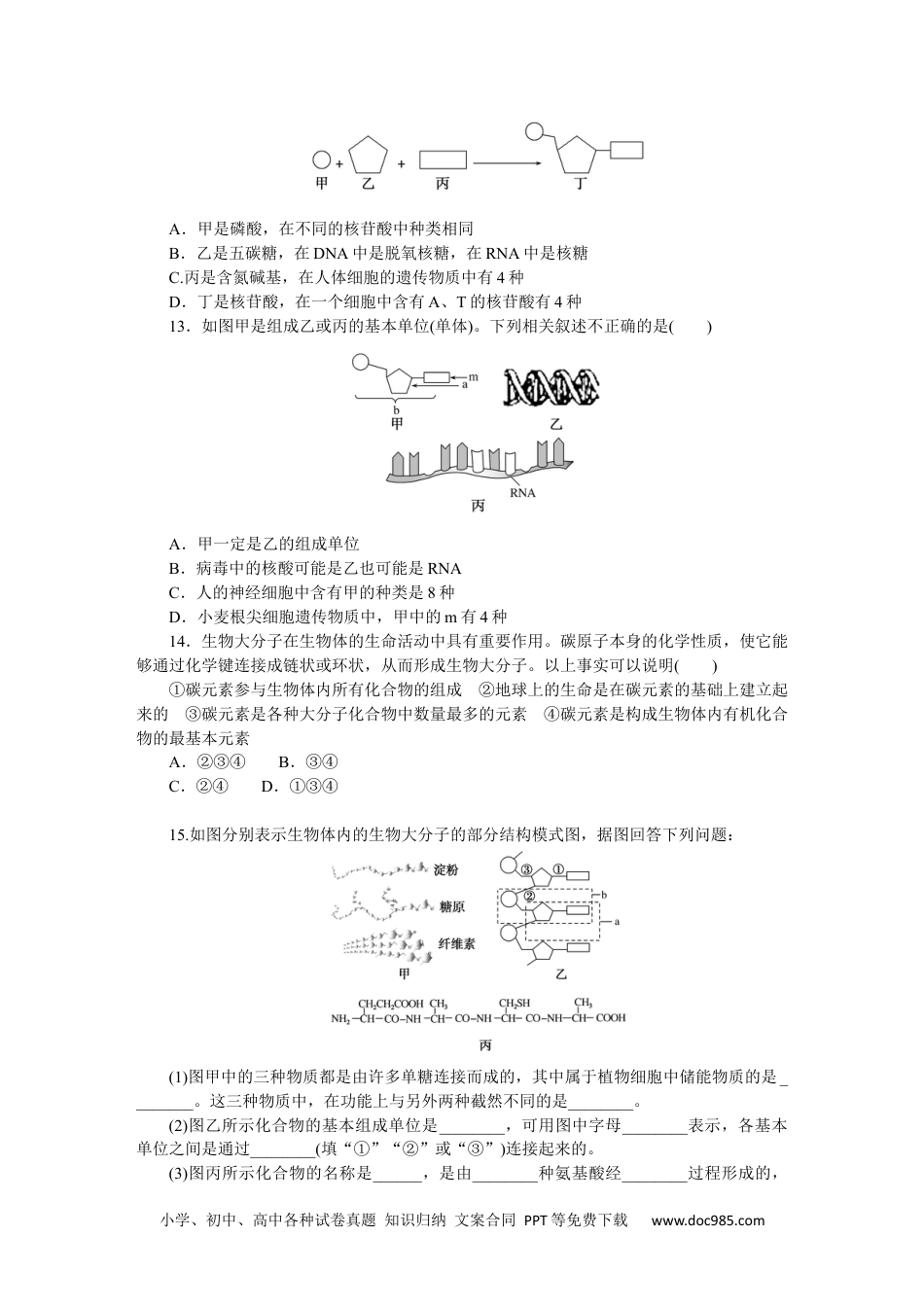 高中 生物·必修1课后分层检测（单选）课后分层检测案7.docx