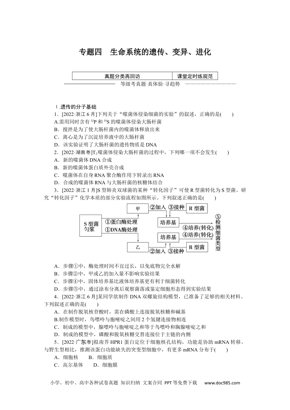 高中 2023二轮专项分层特训卷•生物学【新教材】河北专版专题四　生命系统的遗传、变异、进化.docx