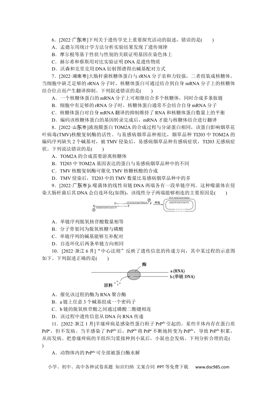 高中 2023二轮专项分层特训卷•生物学【新教材】河北专版专题四　生命系统的遗传、变异、进化.docx