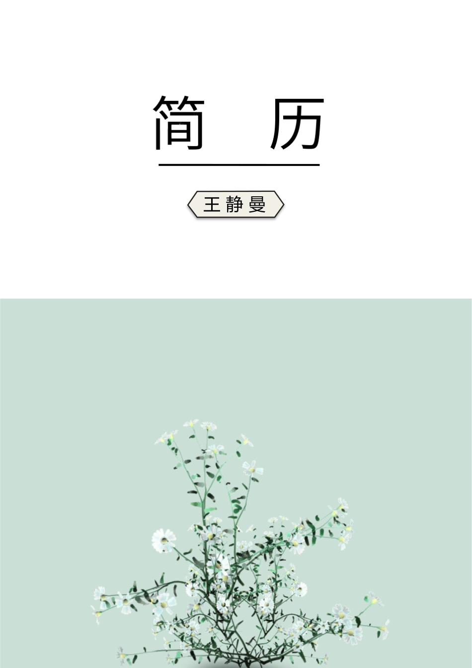 精选简历（特别推荐）个人简历模板艺术气质四页02.docx