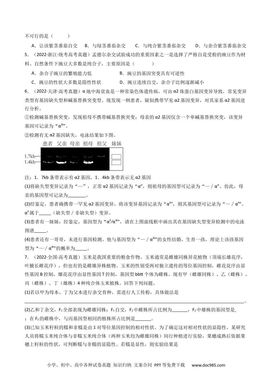 高考生物专题11 基因的分离定律（原卷卷）.docx