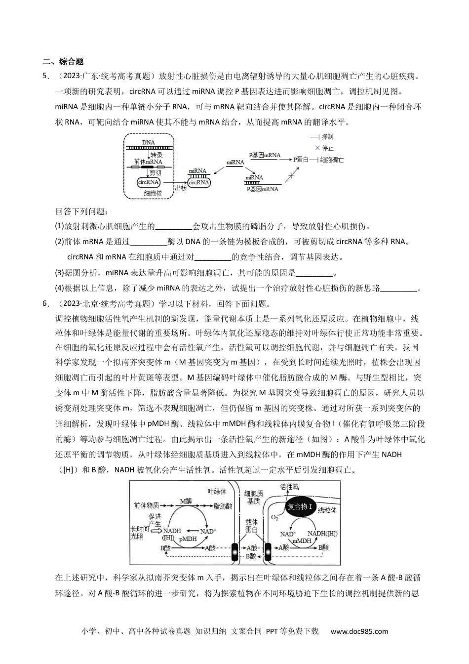 高考生物专题05 细胞的生命历程（学生卷）.docx