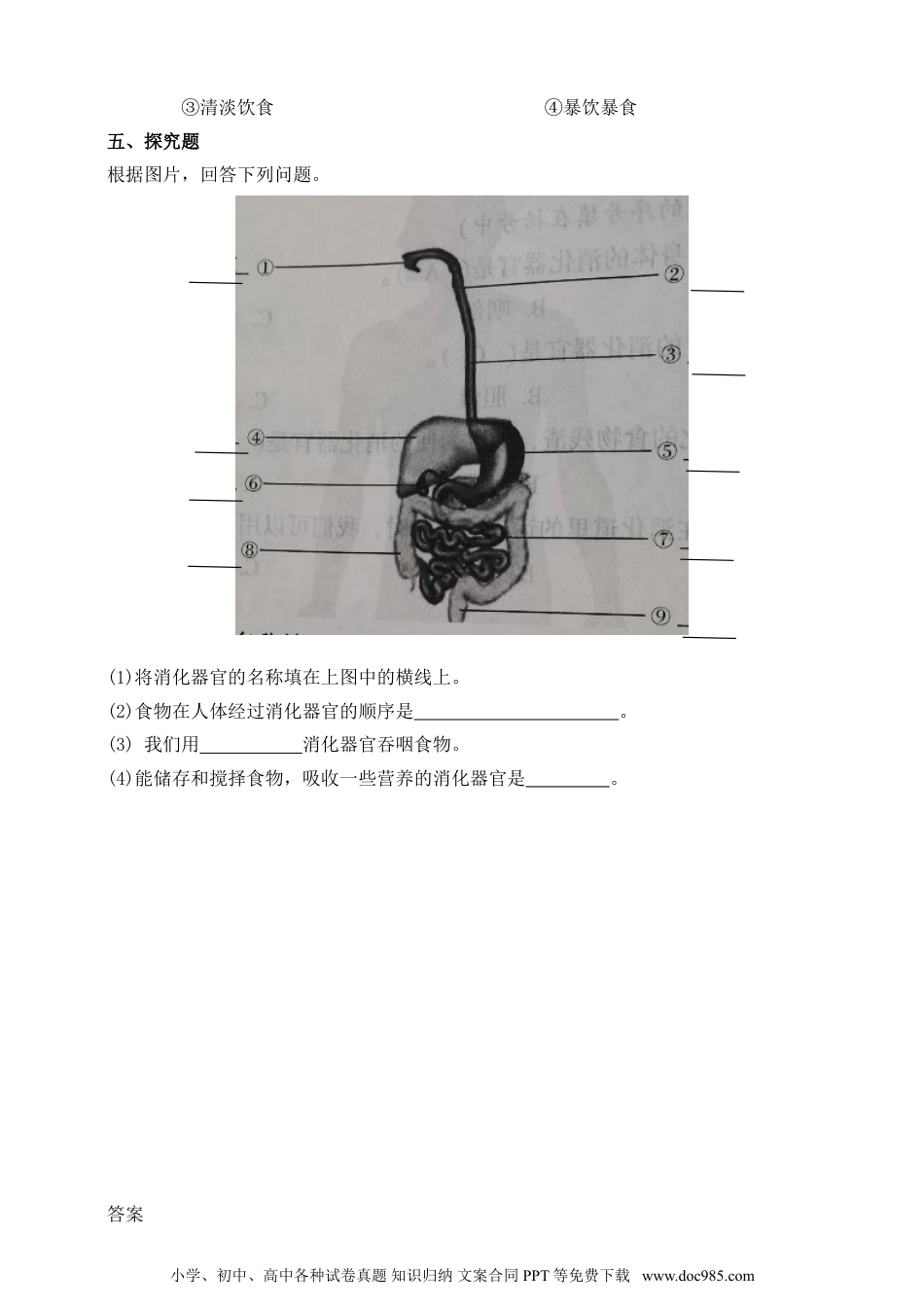 （苏教版）三年级上册科学【精】苏教版科学三年级上册一课一练-18食物的旅行（含答案）(23104000).doc