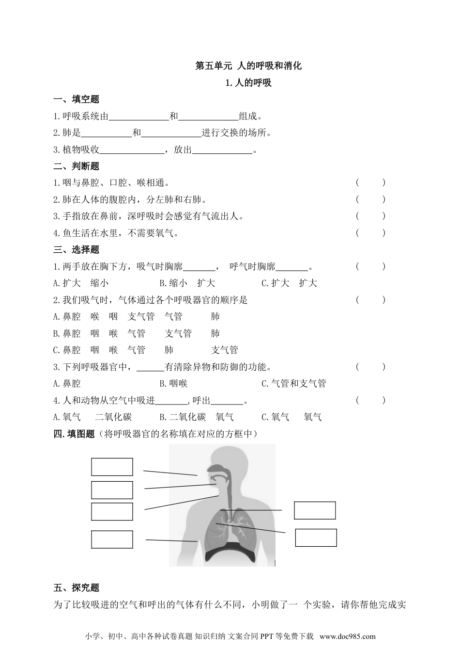 （苏教版）三年级上册科学【精】苏教版科学三年级上册一课一练-16人的呼吸（含答案）(23104002).doc