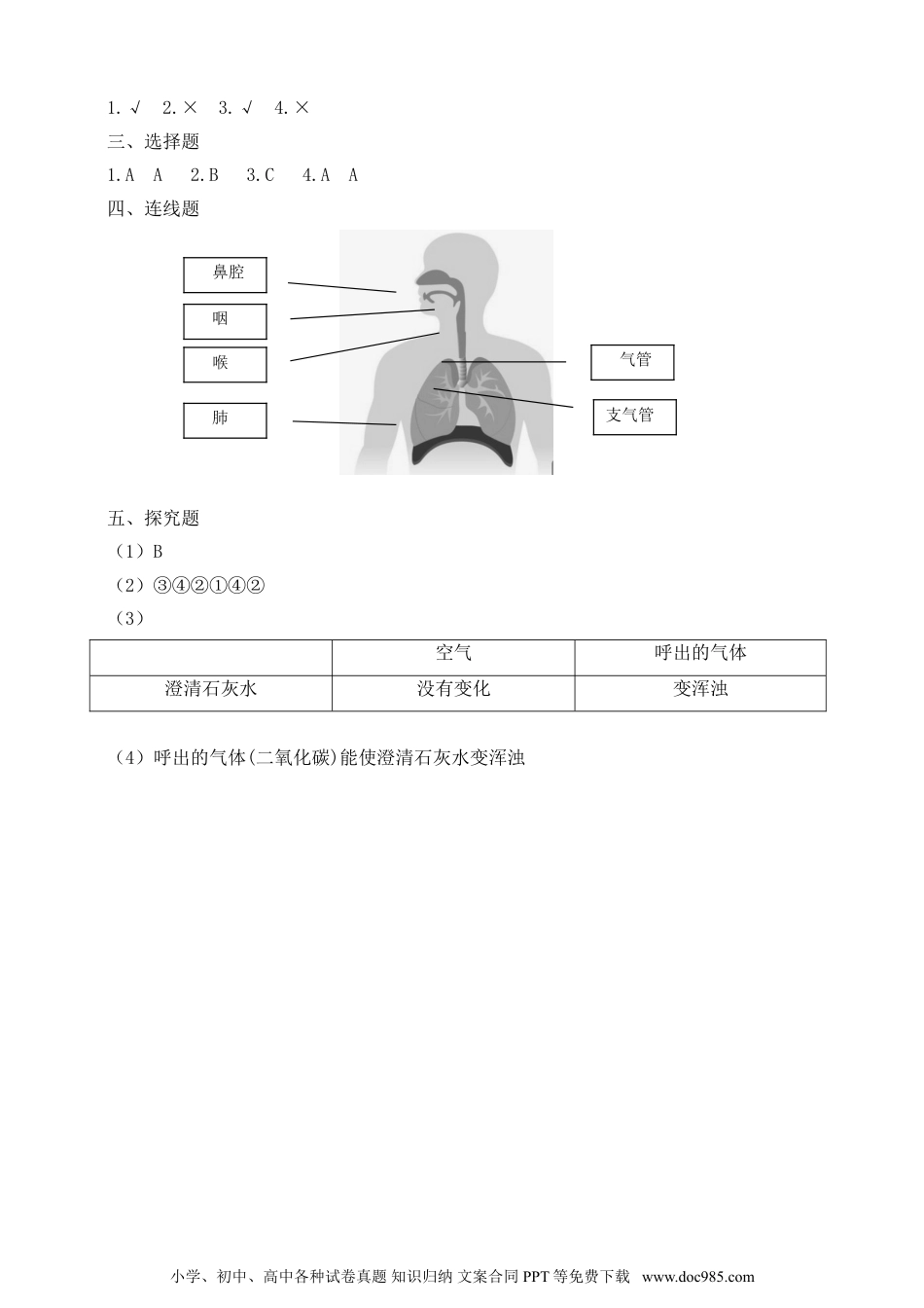 （苏教版）三年级上册科学【精】苏教版科学三年级上册一课一练-16人的呼吸（含答案）(23104002).doc