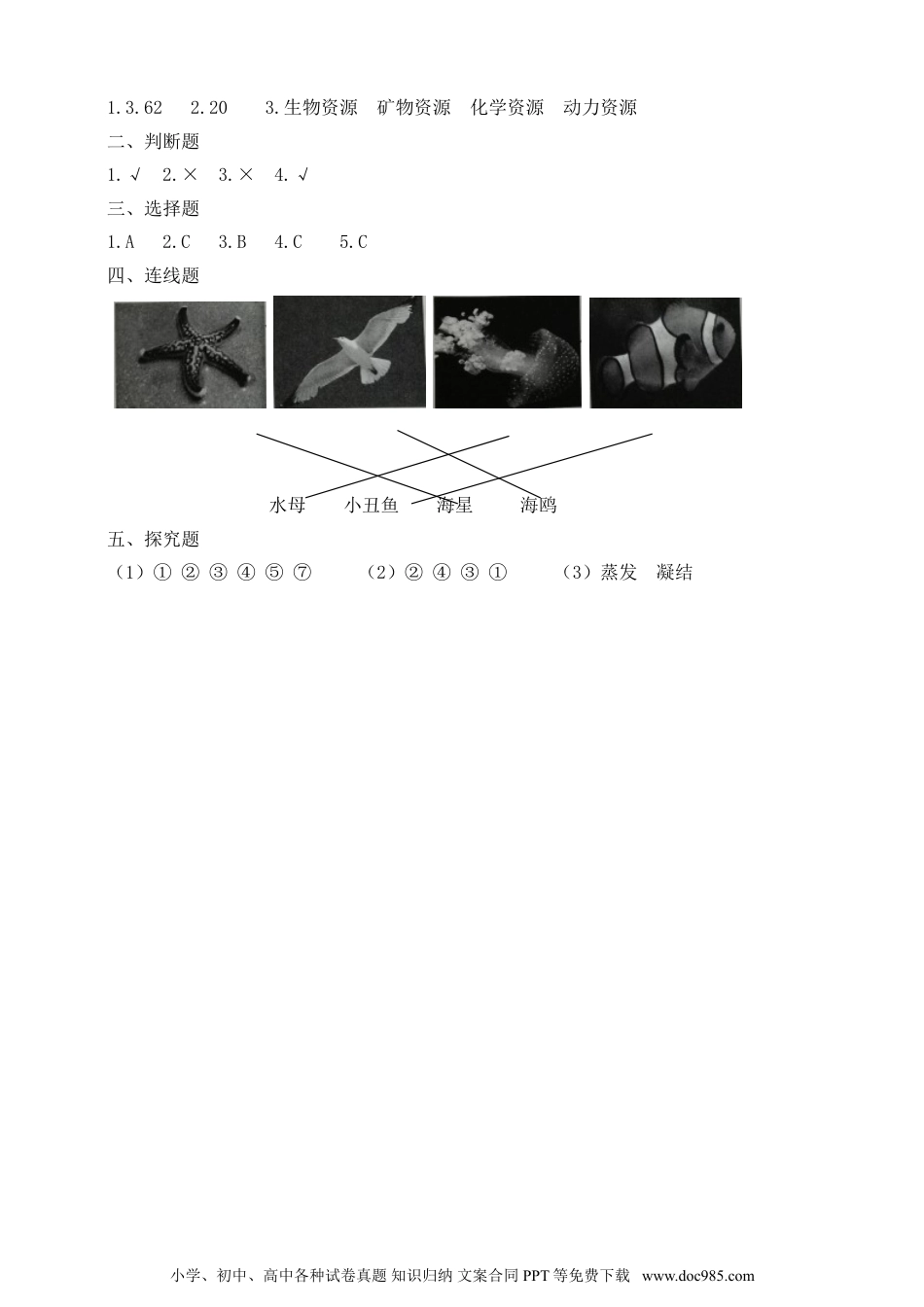 （苏教版）三年级上册科学【精】苏教版科学三年级上册一课一练-14 海洋（含答案）(22982958).doc