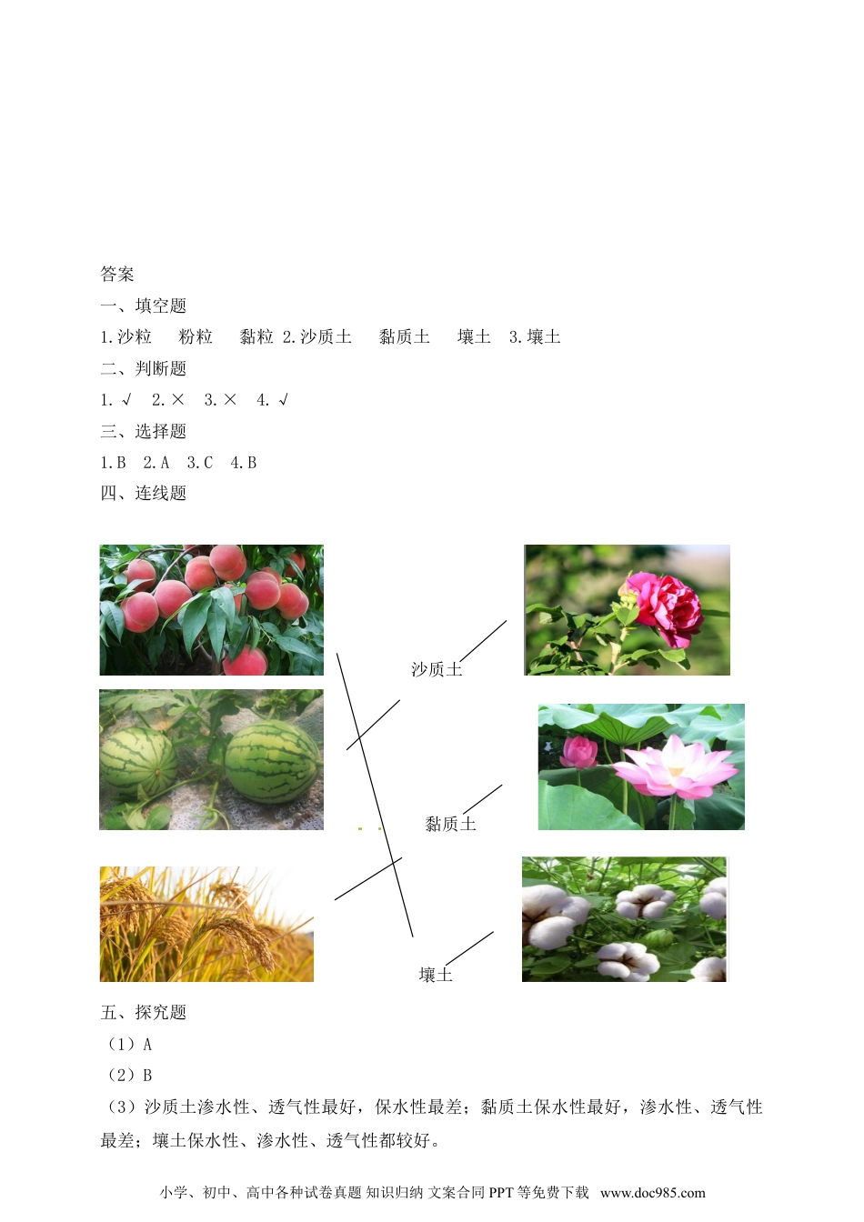 （苏教版）三年级上册科学【精】苏教版科学三年级上册一课一练 5土壤的类型（含答案）(22934129).doc