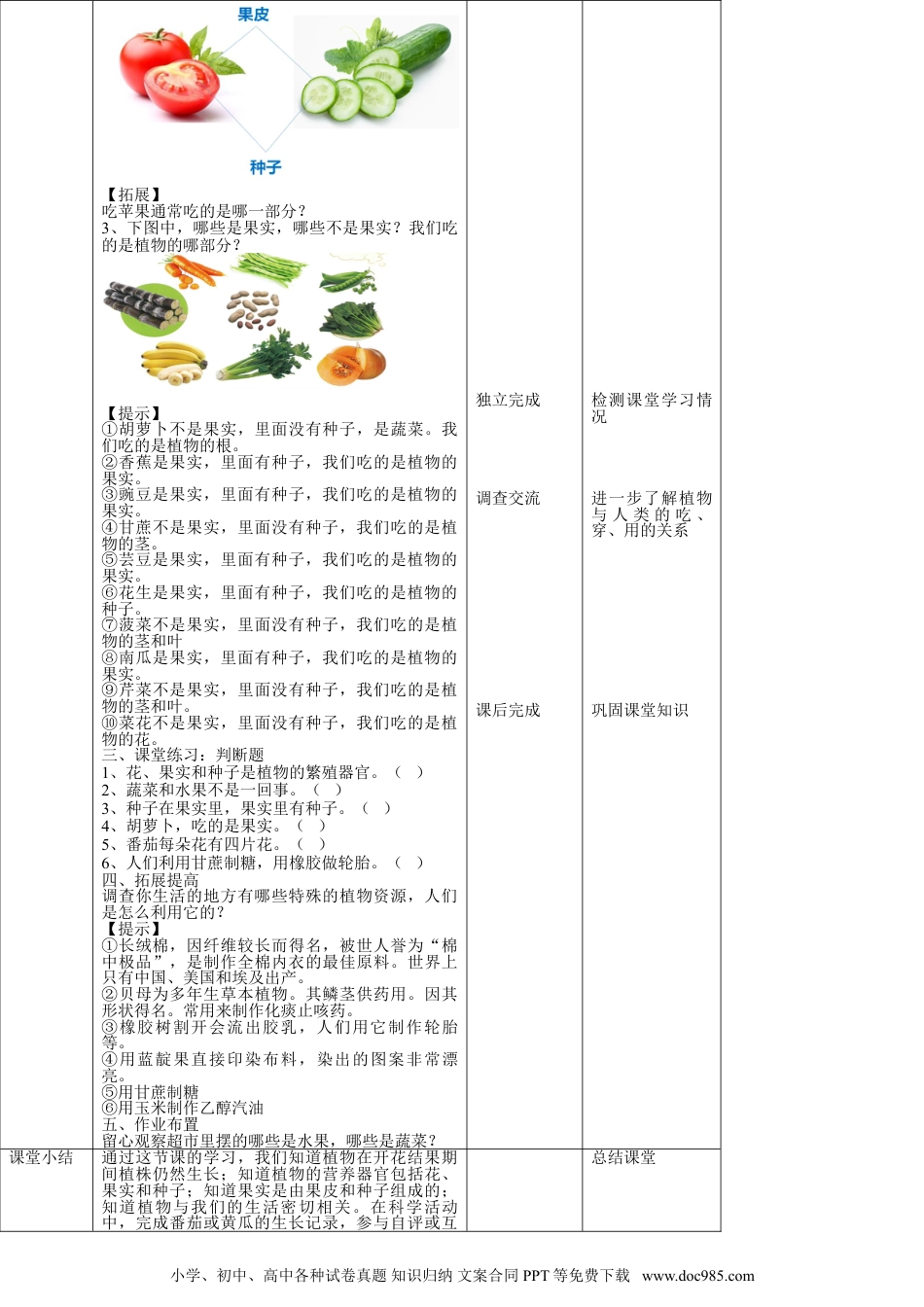 （苏教版）三年级下册科学苏教版（2019）科学三年级下1.4《植物结果了》教案.doc