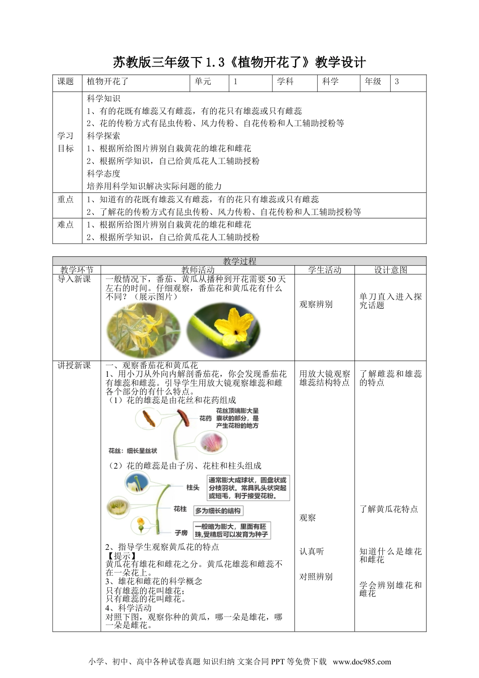 （苏教版）三年级下册科学苏教版（2019）科学三年级下1.3《植物开花了》教案.doc