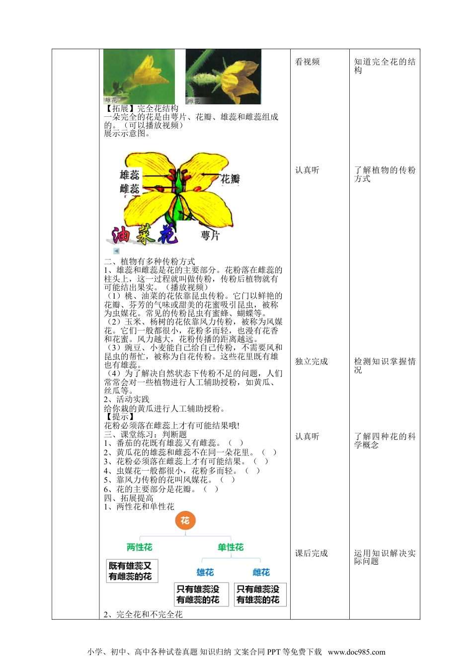 （苏教版）三年级下册科学苏教版（2019）科学三年级下1.3《植物开花了》教案.doc