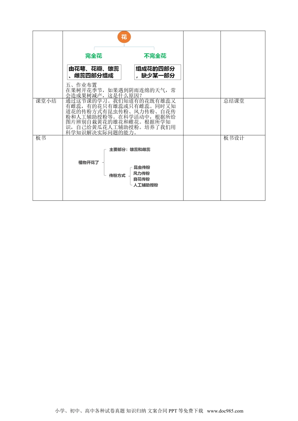 （苏教版）三年级下册科学苏教版（2019）科学三年级下1.3《植物开花了》教案.doc