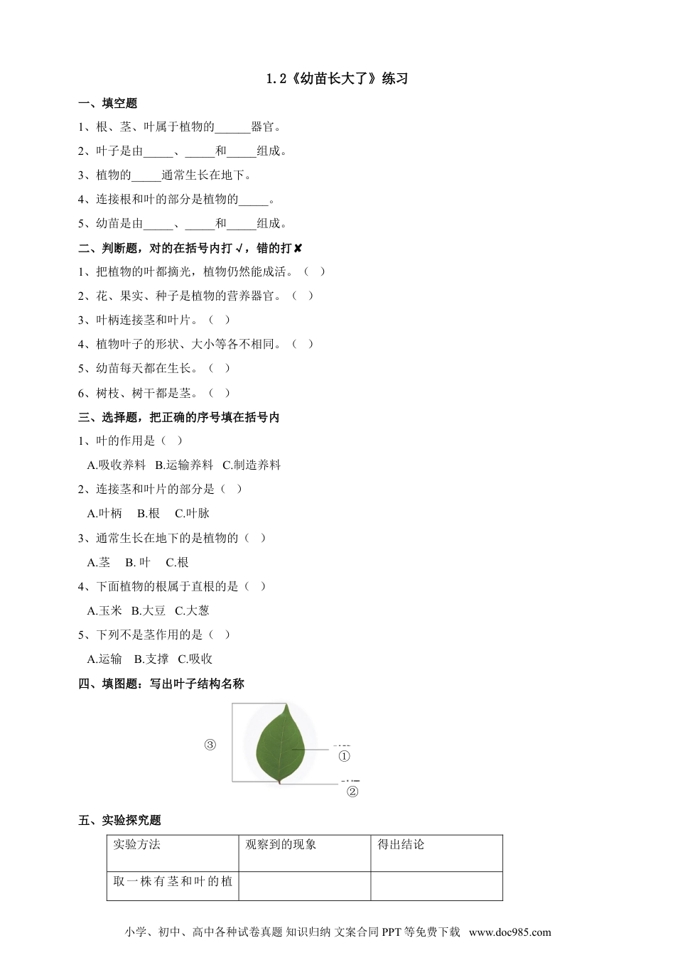 （苏教版）三年级下册科学苏教版（2019）科学三年级下1.2《幼苗长大了》练习.doc