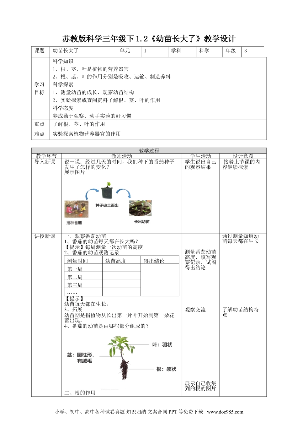 （苏教版）三年级下册科学苏教版（2019）科学三年级下1.2《幼苗长大了》教案.doc