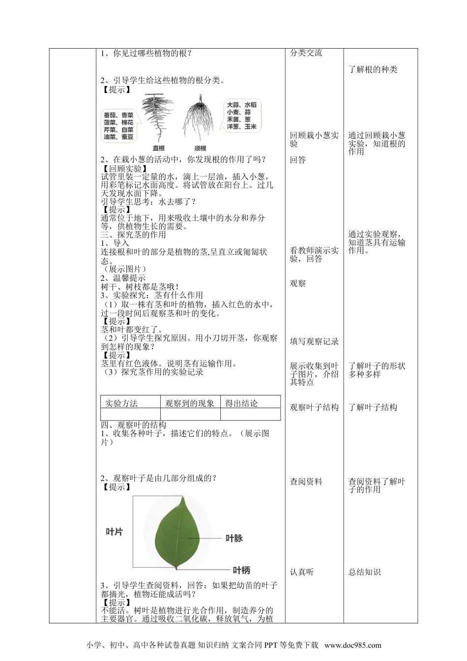 （苏教版）三年级下册科学苏教版（2019）科学三年级下1.2《幼苗长大了》教案.doc