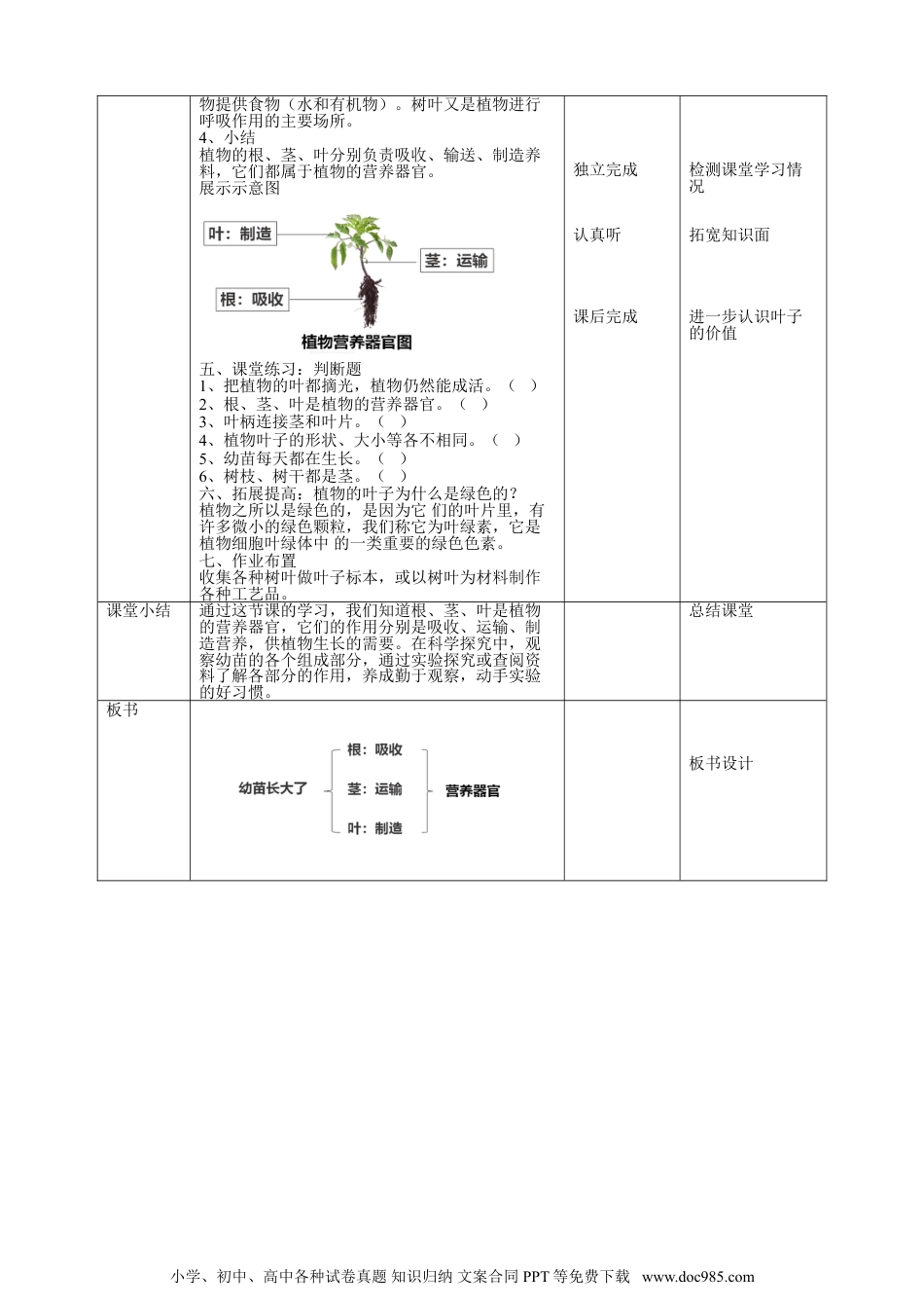 （苏教版）三年级下册科学苏教版（2019）科学三年级下1.2《幼苗长大了》教案.doc