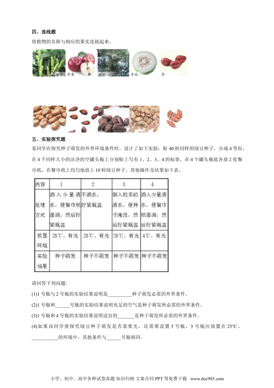 （苏教版）三年级下册科学苏教版（2019）科学三年级下1.1《种子发芽了》练习.doc