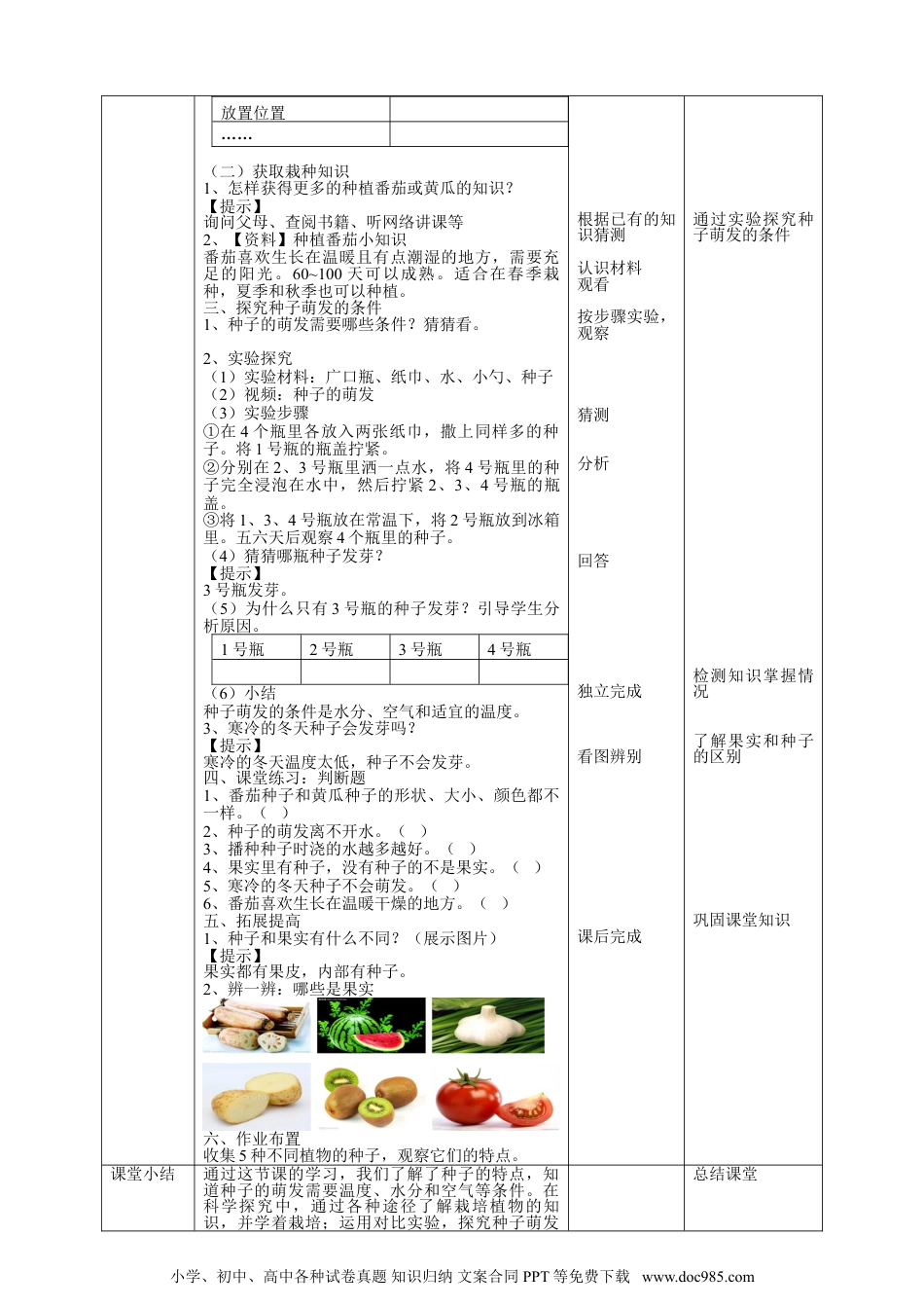 （苏教版）三年级下册科学苏教版（2019）科学三年级下1.1《种子发芽了》教案.doc