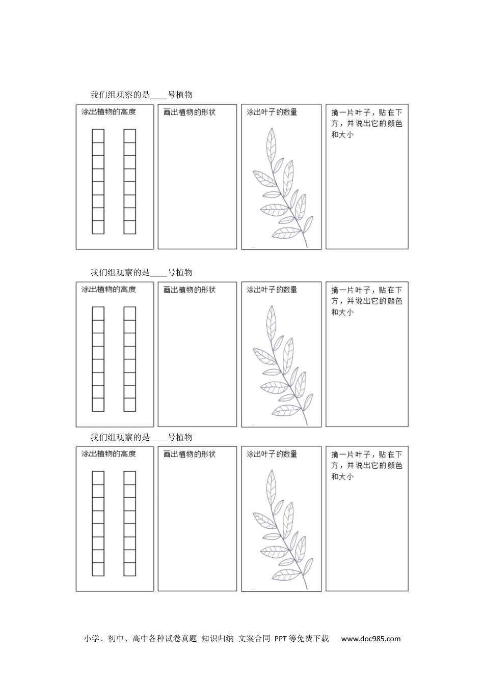 （苏教版）三年级下册科学活动单 (1).docx