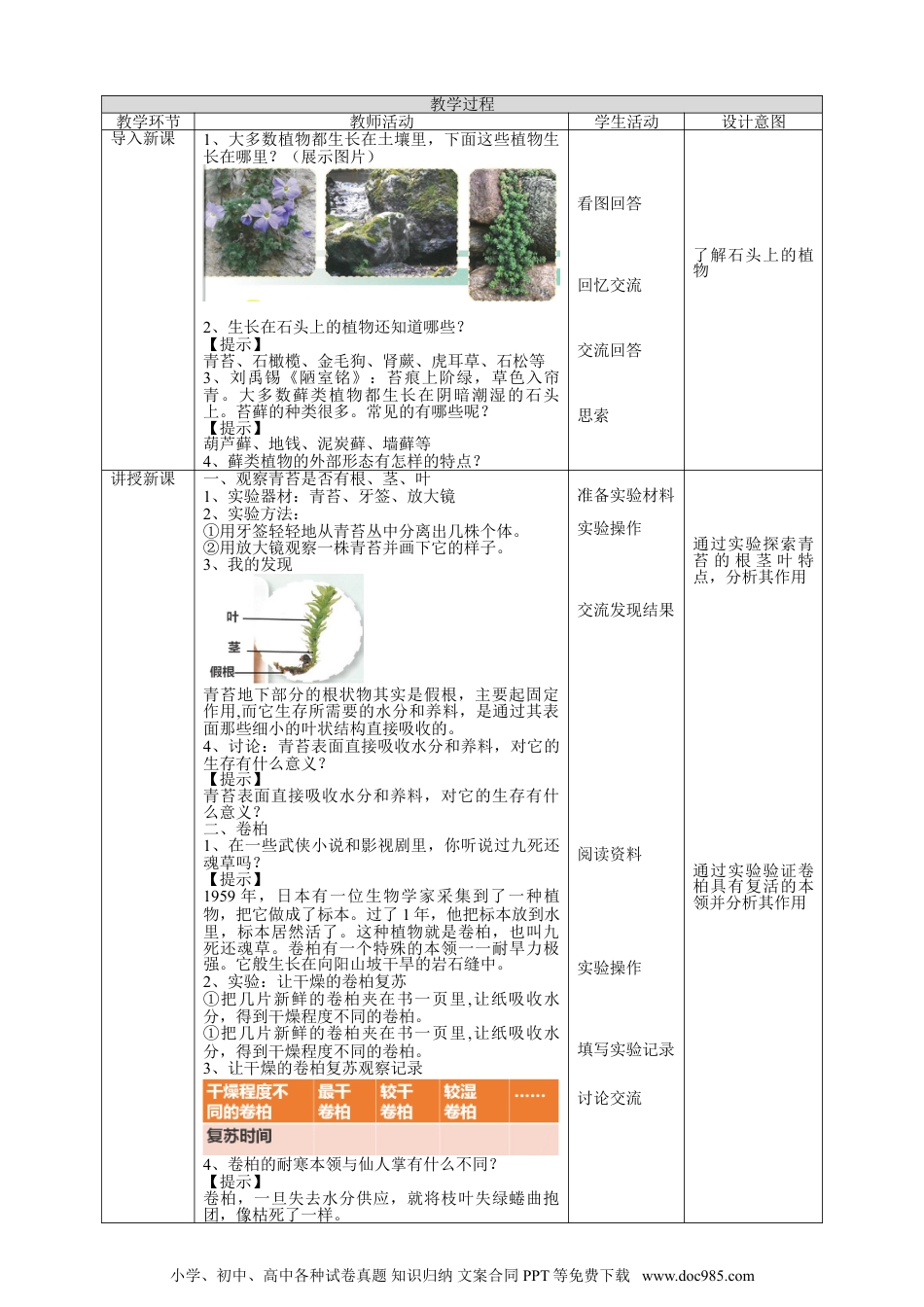 （苏教版）三年级下册科学苏教版（2019）科学三年级下2.8《石头上的植物》教案.doc