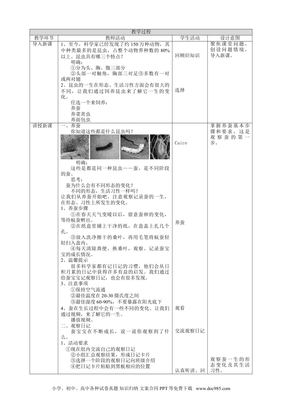 （苏教版）四年级下册科学3.10《养昆虫》教案.doc