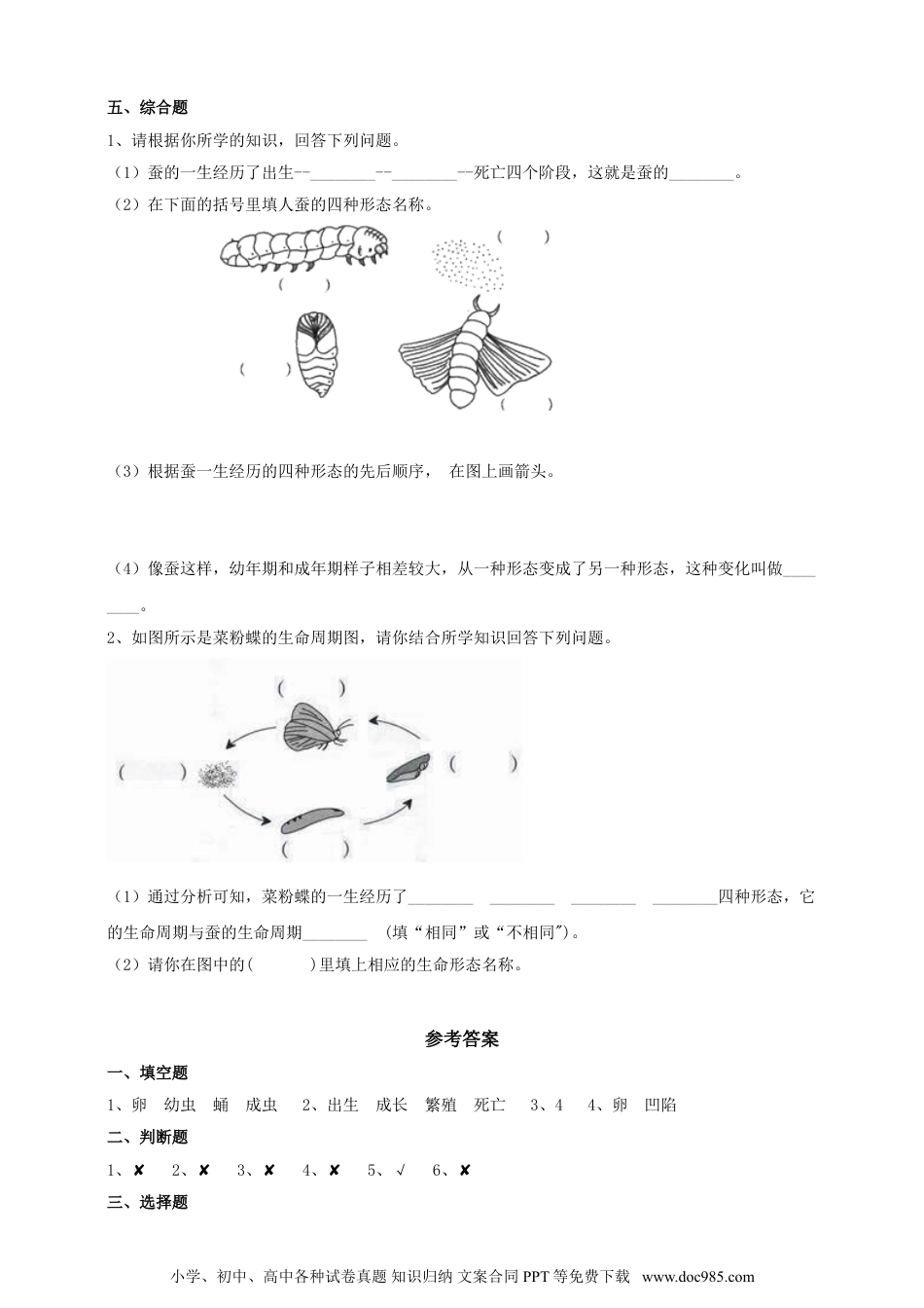 （苏教版）四年级下册科学3.10《养昆虫》练习.doc