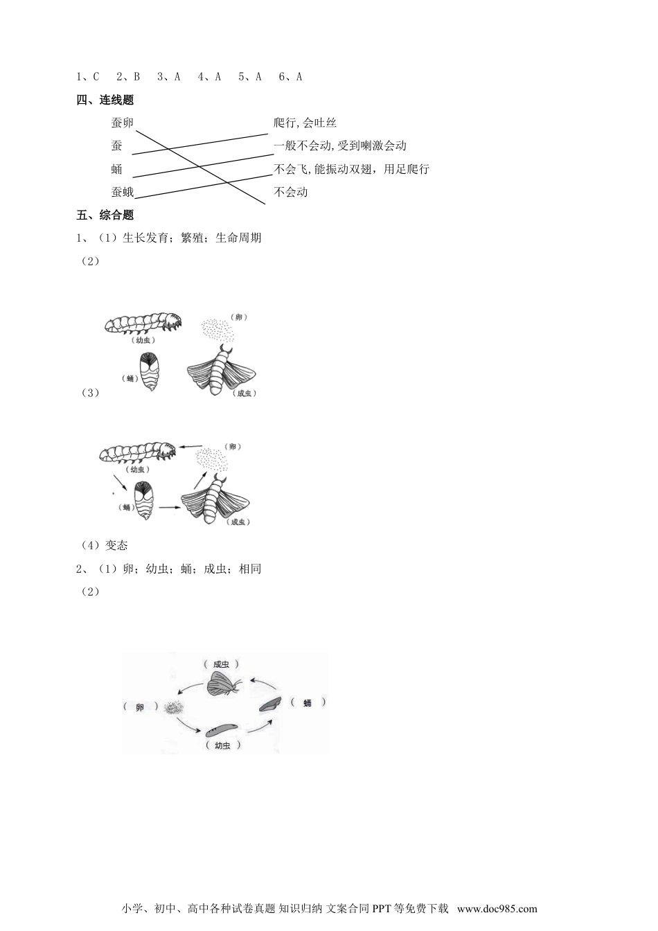 （苏教版）四年级下册科学3.10《养昆虫》练习.doc