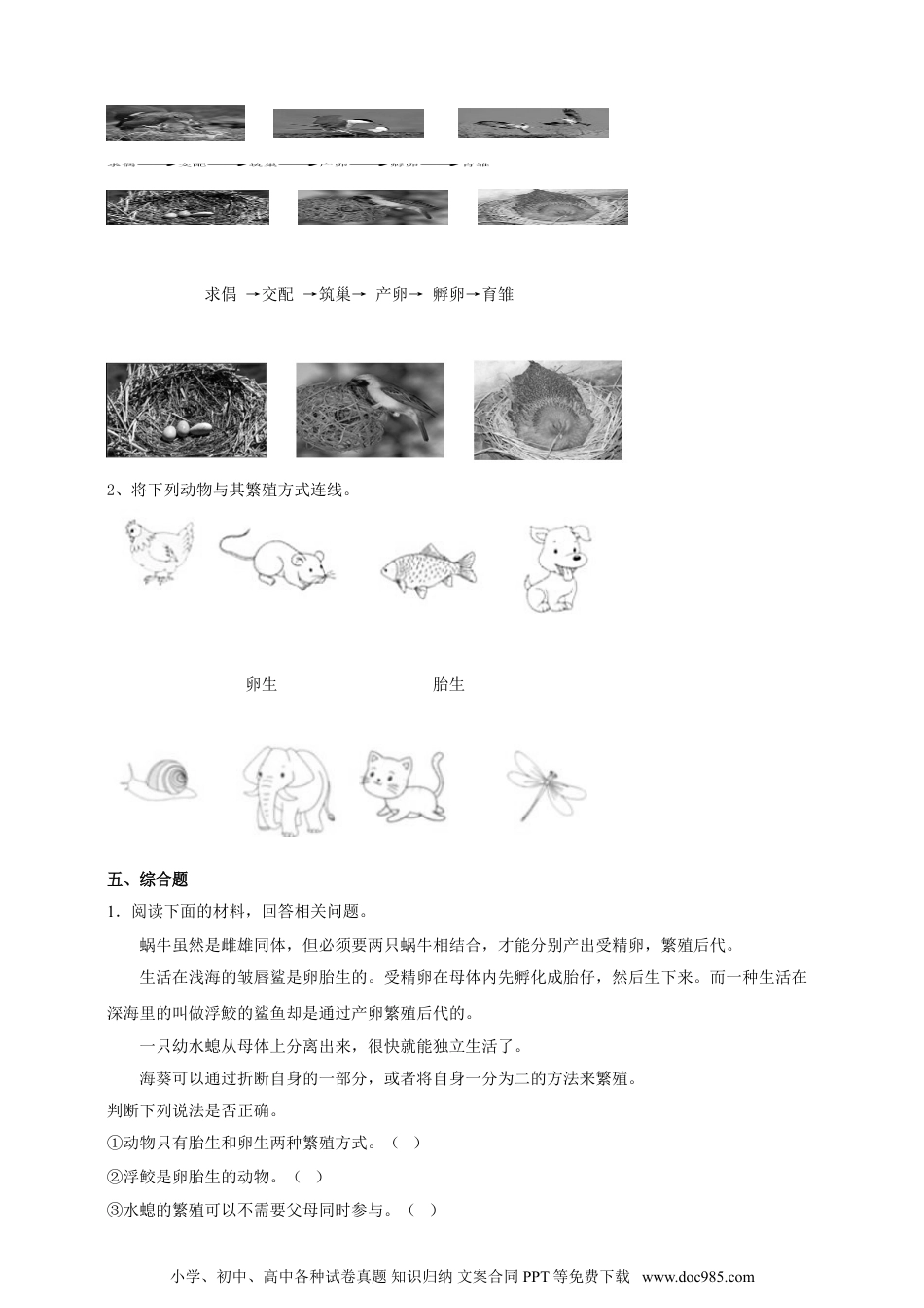 （苏教版）四年级下册科学4.14《动物的繁殖》练习.doc