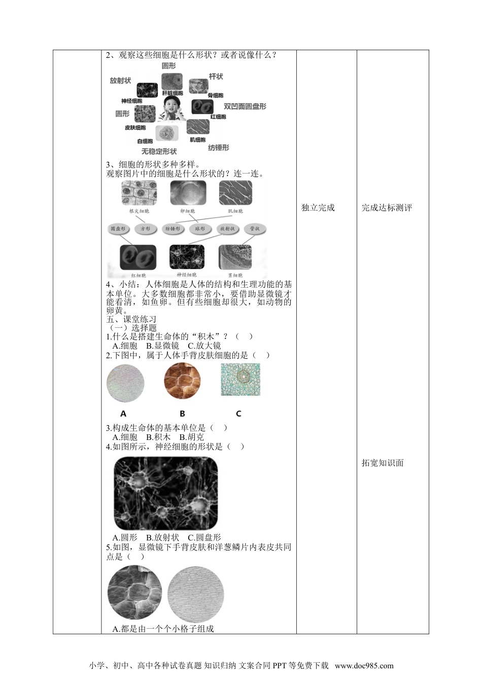 （苏教版）五年级下册科学1.1《搭建生命体的“积木”》教案.doc