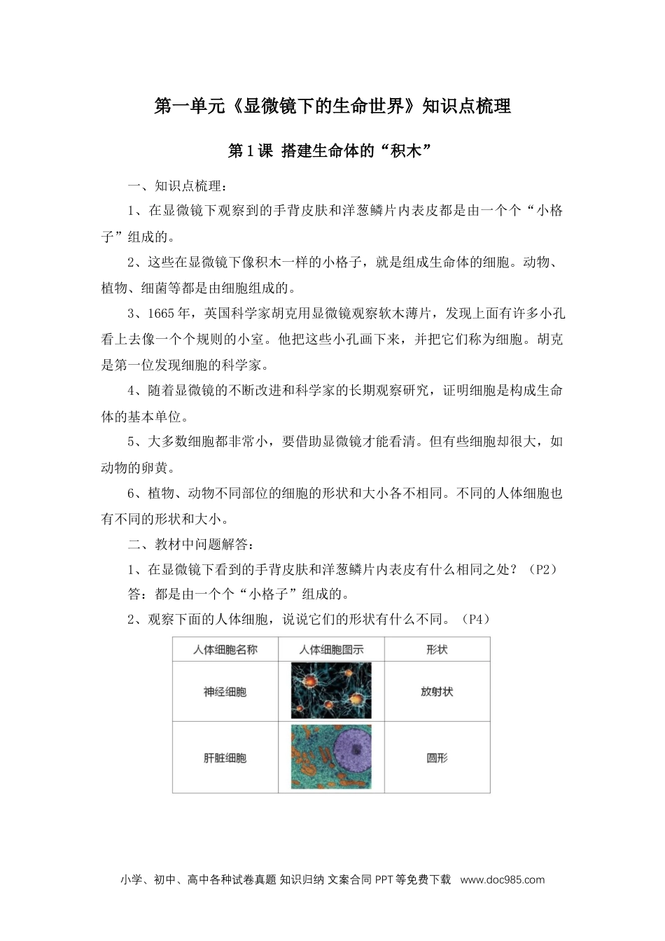 第一单元显微镜下的生命世界知识点梳理.docx