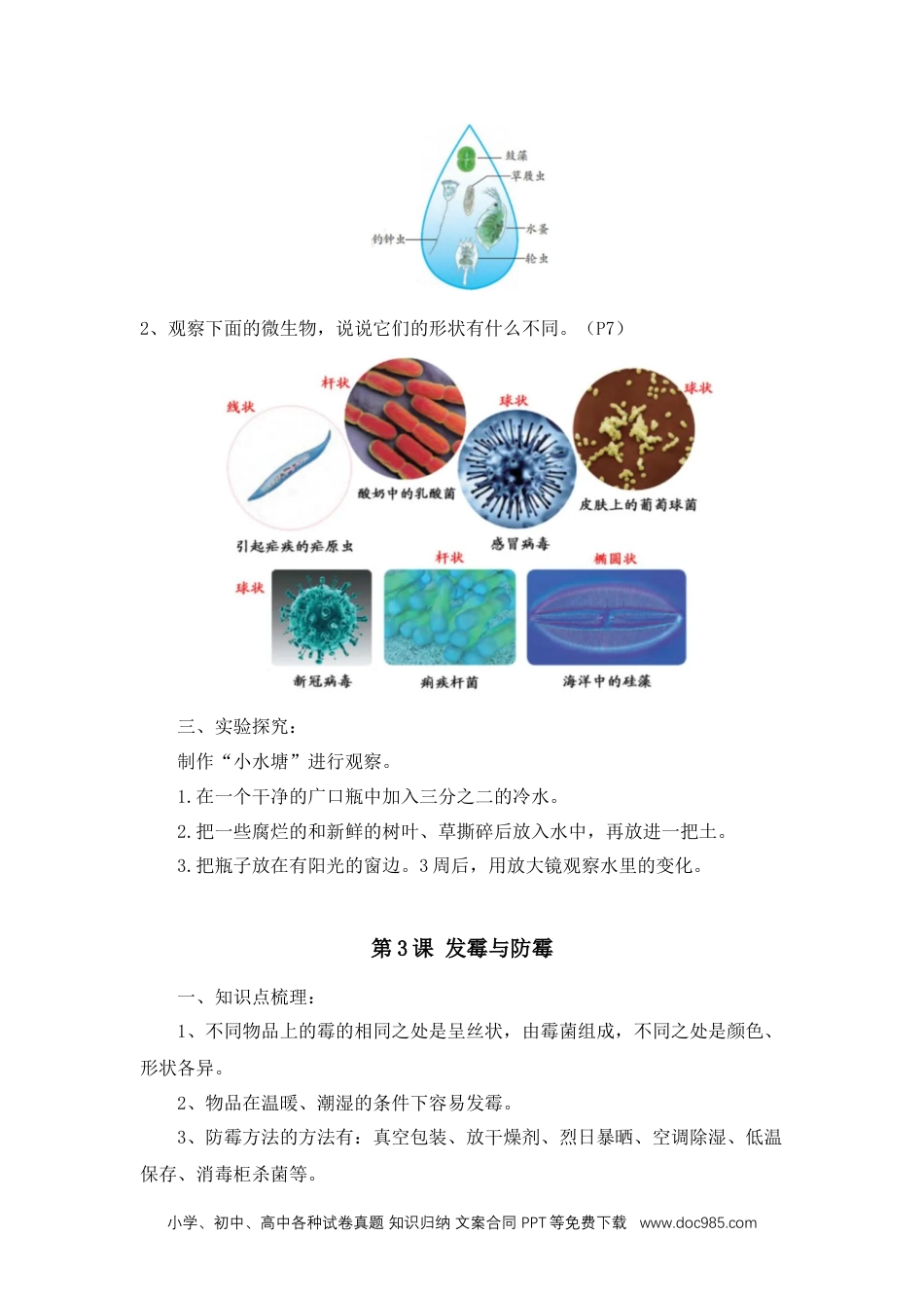 第一单元显微镜下的生命世界知识点梳理.docx