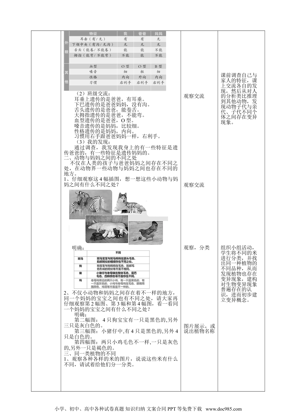 （苏教版）六年级上册科学 2.6《生物的变异》教案.doc