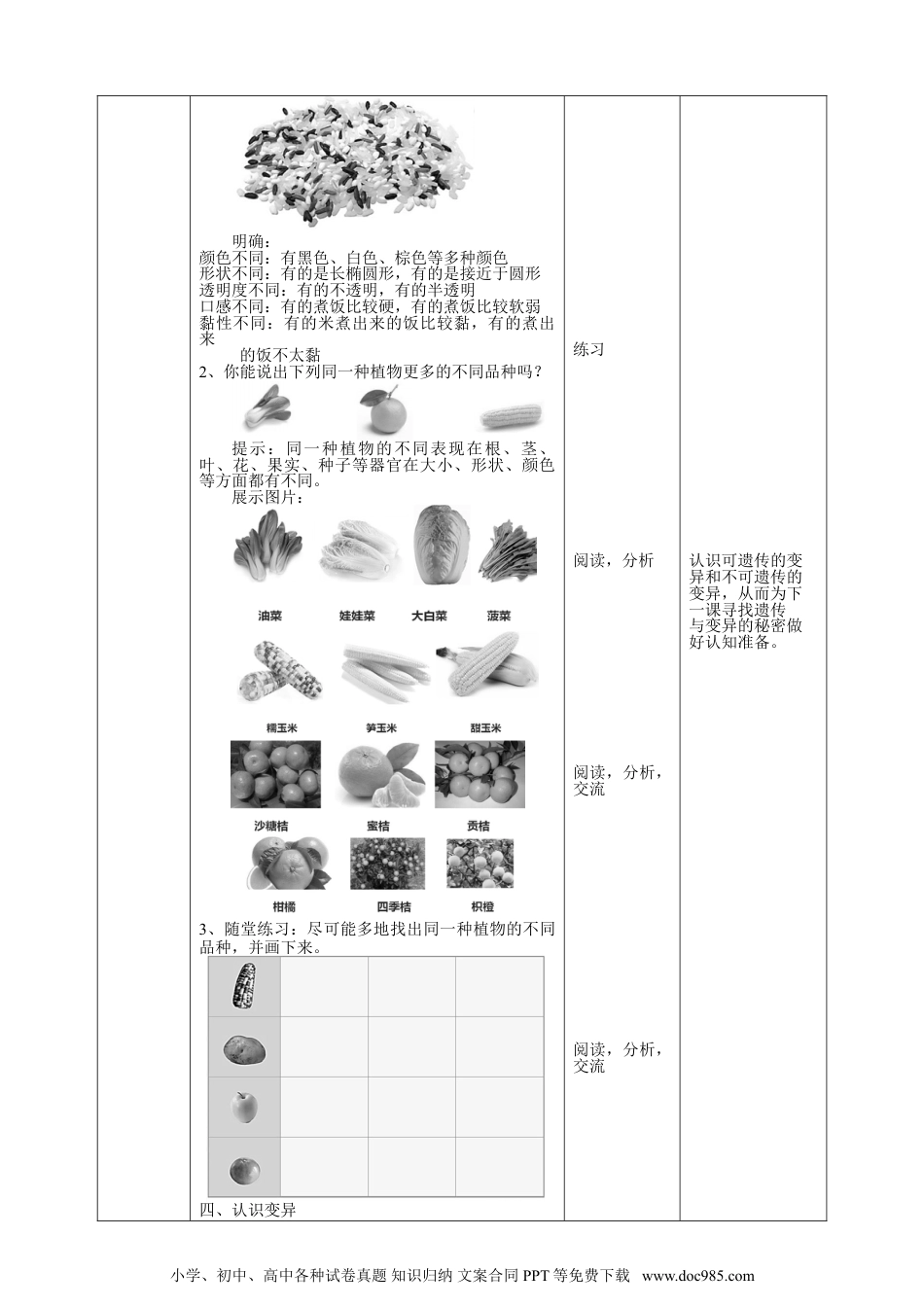 （苏教版）六年级上册科学 2.6《生物的变异》教案.doc